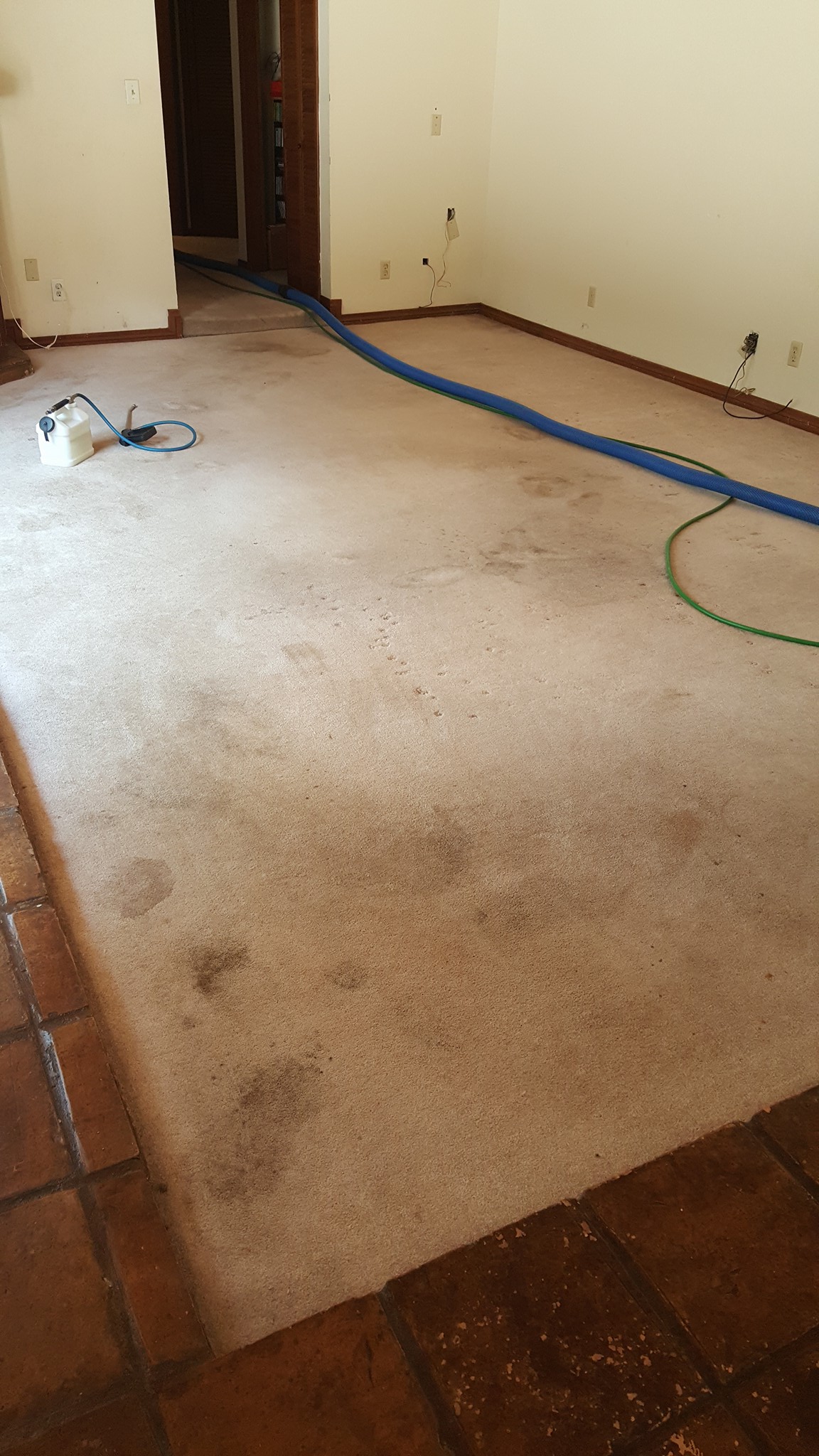 amazing-result-residential-carpet-cleaning-slidell LA