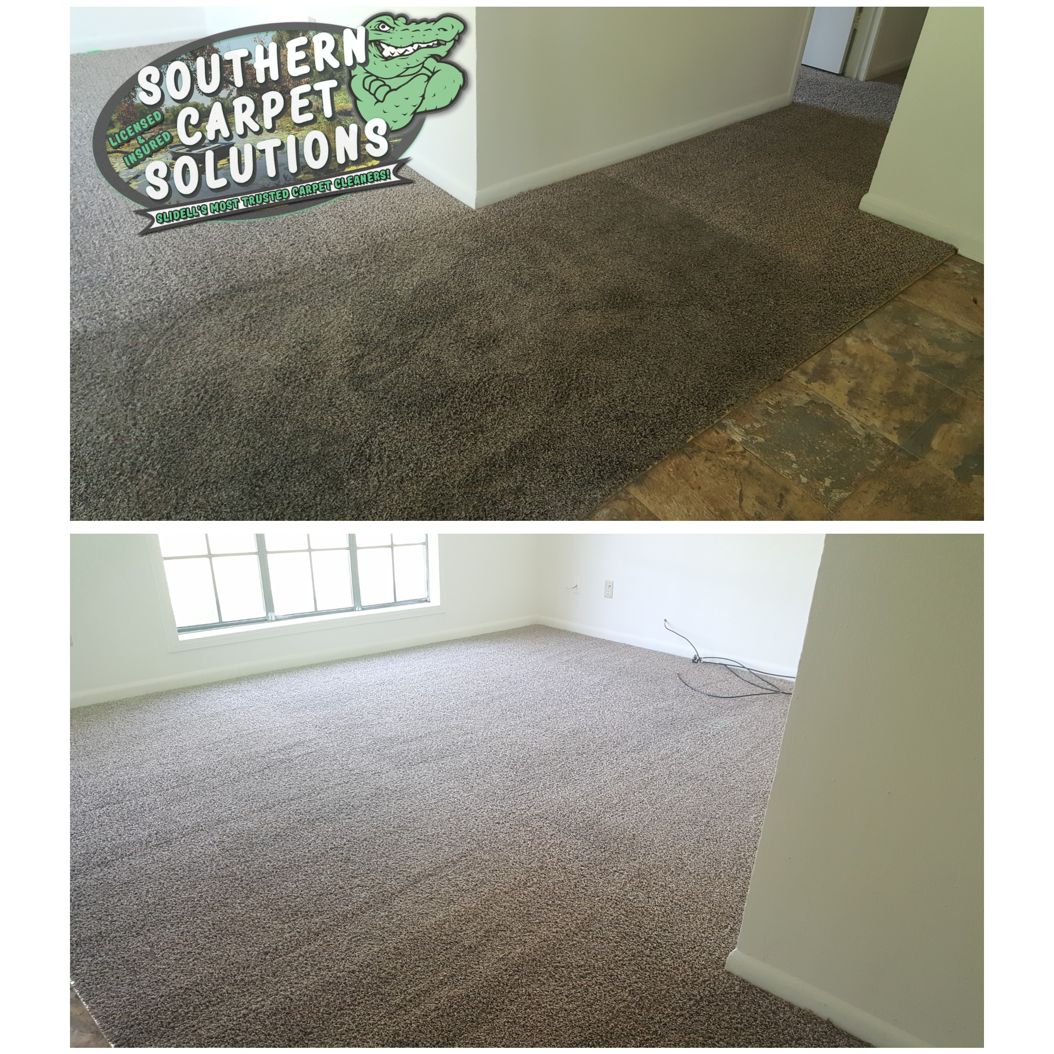 before-and-after-carpet-cleaning