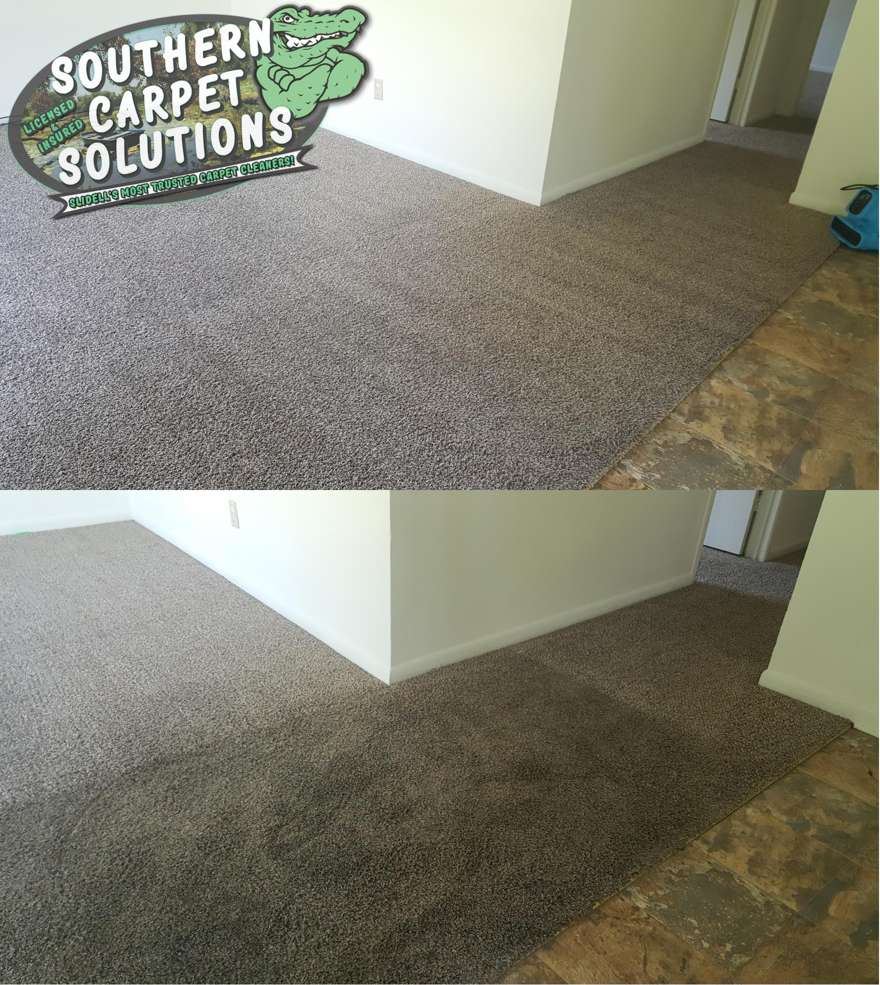 before-and-after-carpet-cleaning