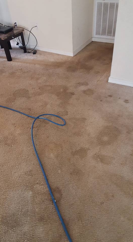 carpet-cleaning-southerncarpetsolutions