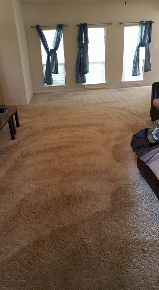 commercial-carpet-cleaning-southerncarpetsolutions