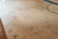 amazing-result-residential-carpet-cleaning-slidell LA
