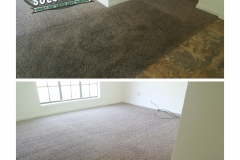 before-and-after-carpet-cleaning