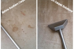 carpet-stain-removal-southerncarpetsolutions
