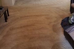 commercial-carpet-cleaning-southerncarpetsolutions