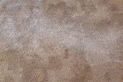dirty-carpet-restoration-slidell,LA