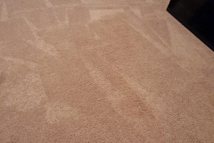 fresh-and-clean-carpet-southercarpetsolutions-Slidell LA