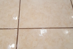 residential-tile-and-grout-cleaning-southercarpetsolutions-services