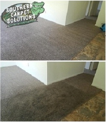 before after carpet cleaning results
