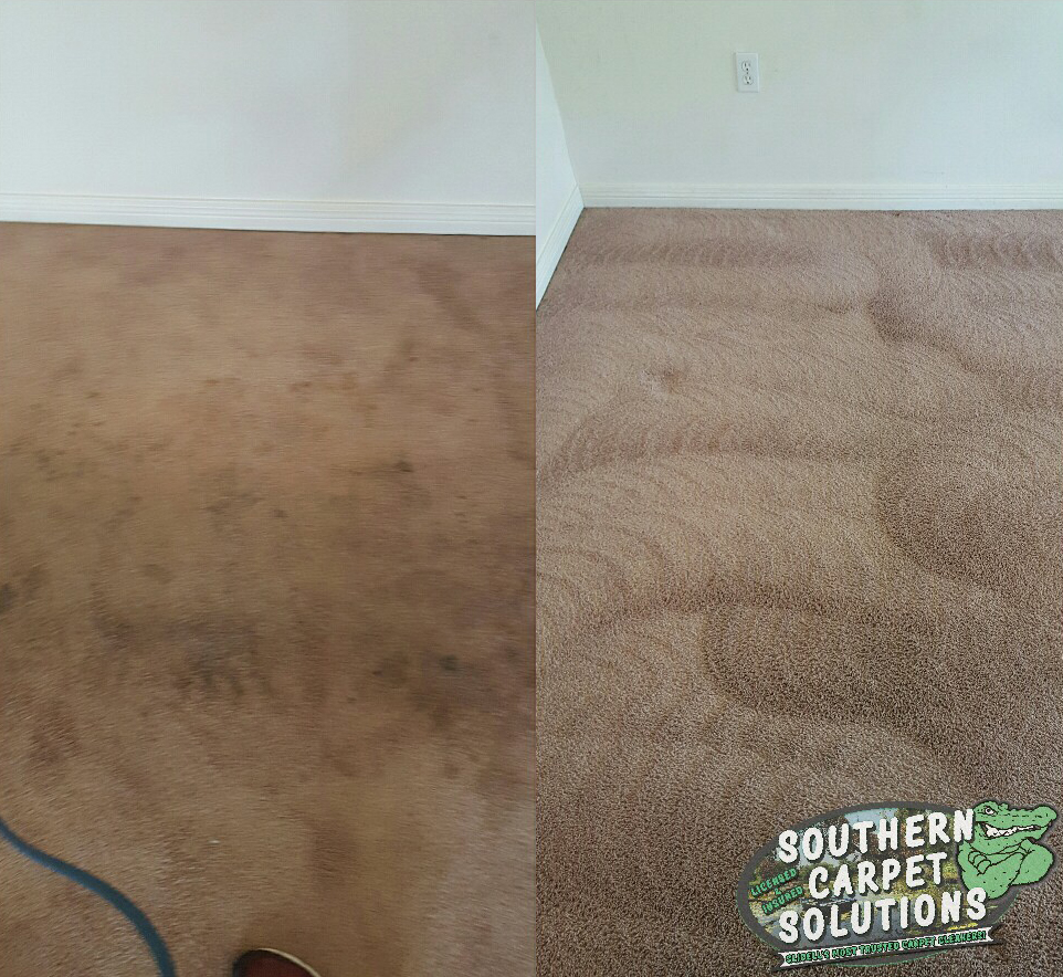 dryingcarpetsoutherncarpetsolutions Southern Carpet Solutions