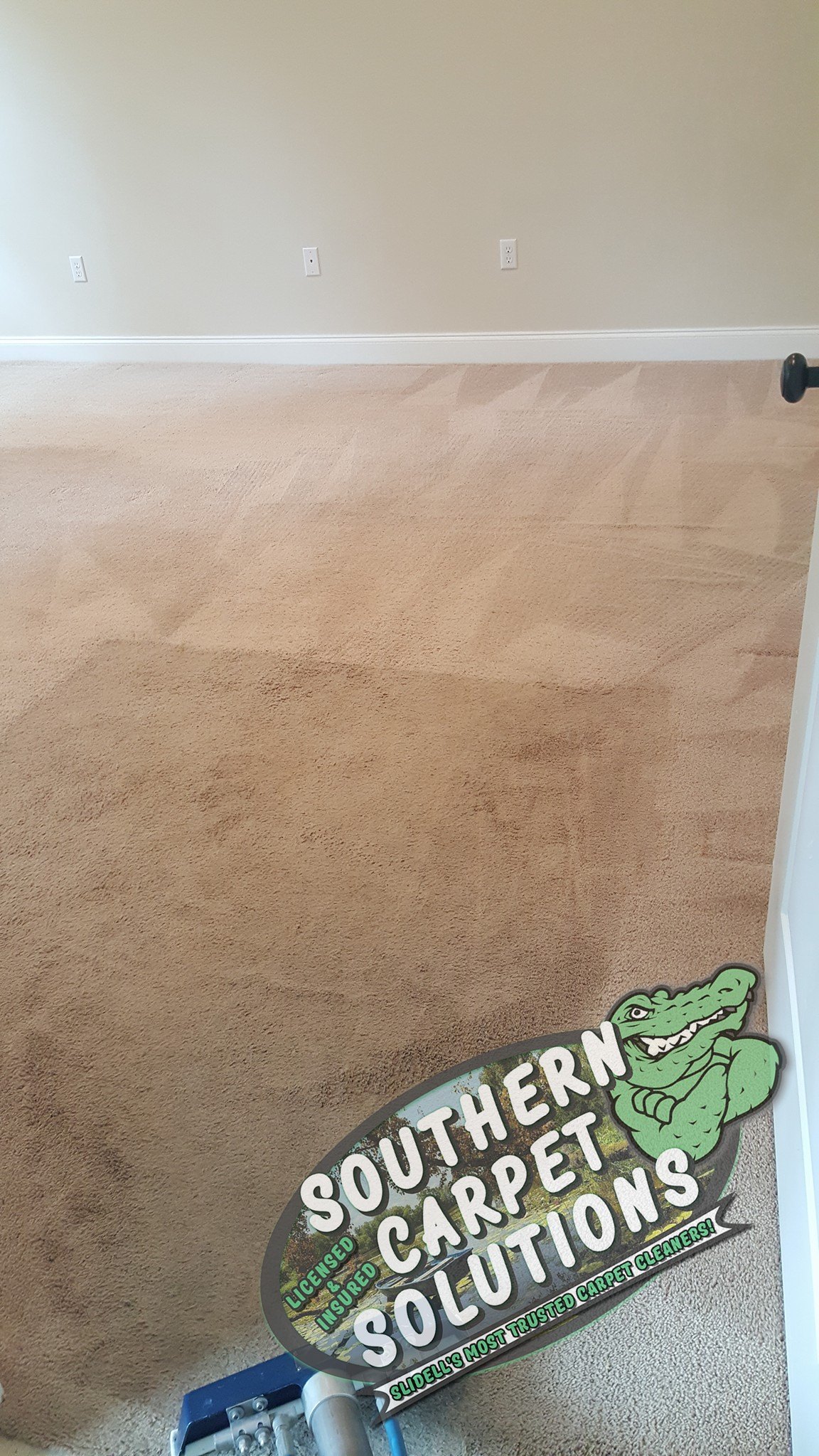 Carpet Cleaning - Southern Carpet Solutions